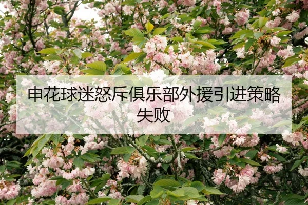 shen-hua-qiu-mi-nu-chi-ju-le-bu-wai-yuan-yin-jin-ce-lve-shi-bai-2-750.jpg