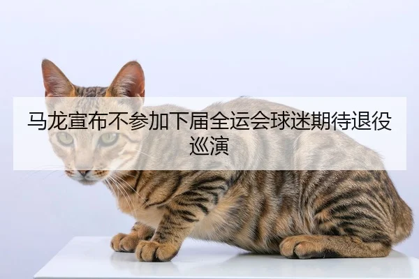 ma-long-xuan-bu-bu-can-jia-xia-jie-quan-yun-hui-qiu-mi-qi-dai-tui-yi-xun-yan-3-247.jpg